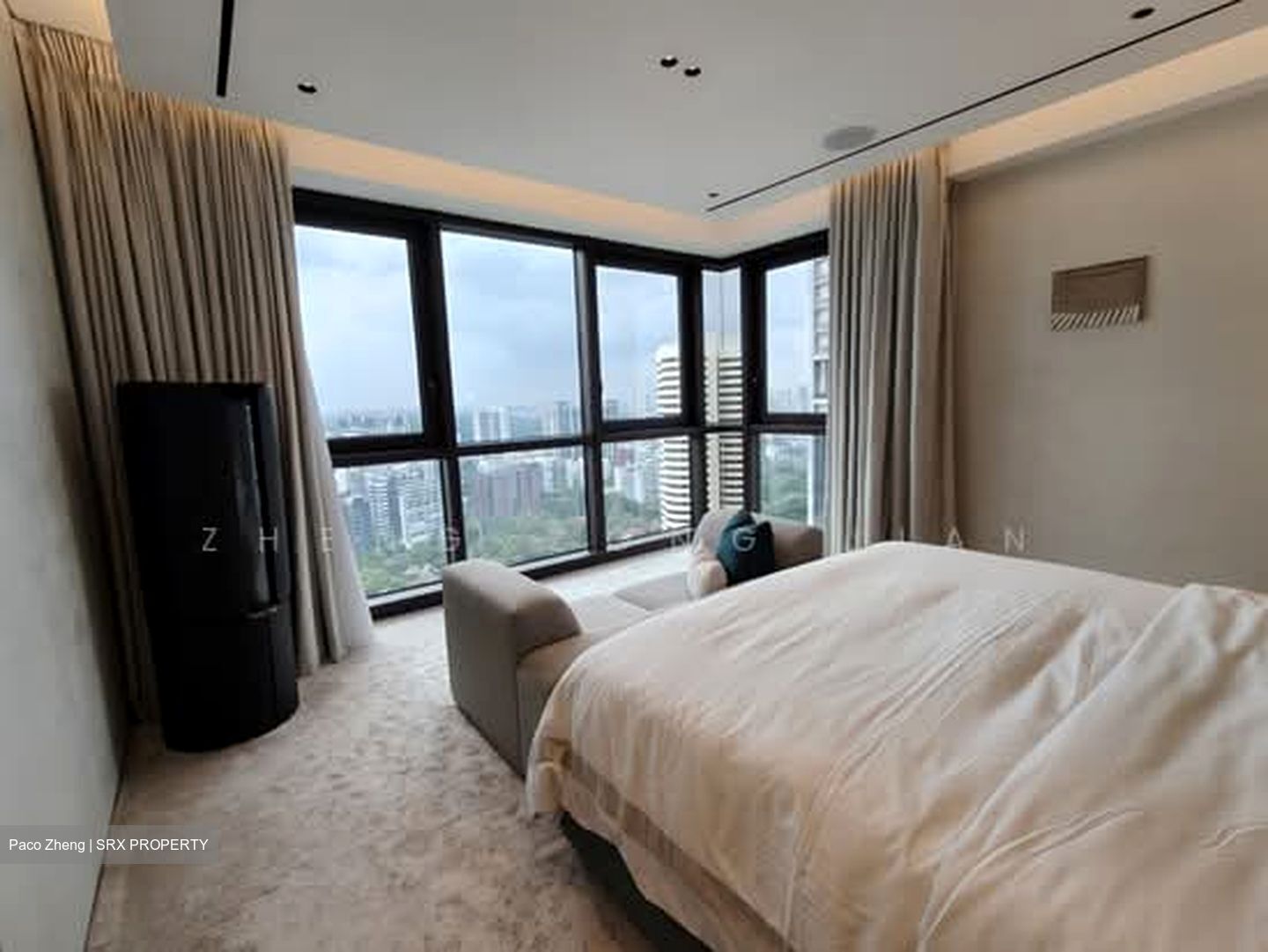 Ardmore Park (D10), Condominium #589269841